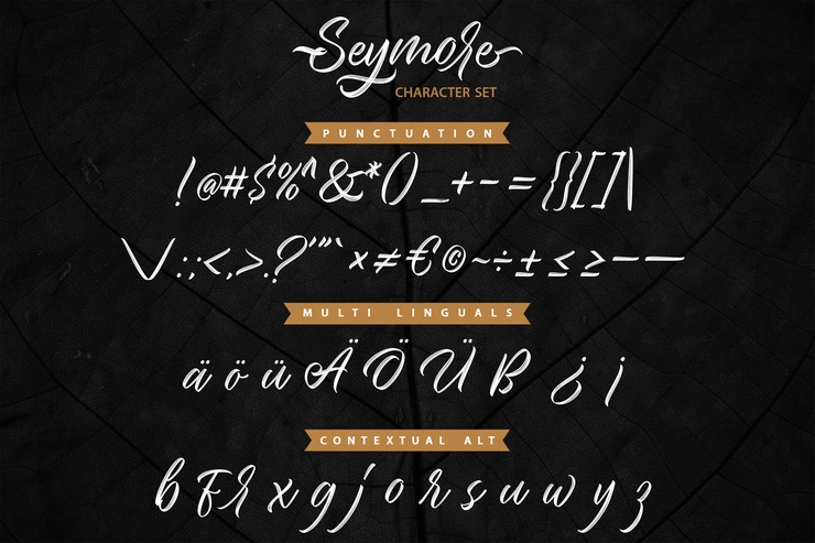 Seymore字体 9