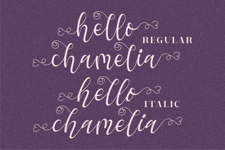 hello chamelia字体 8