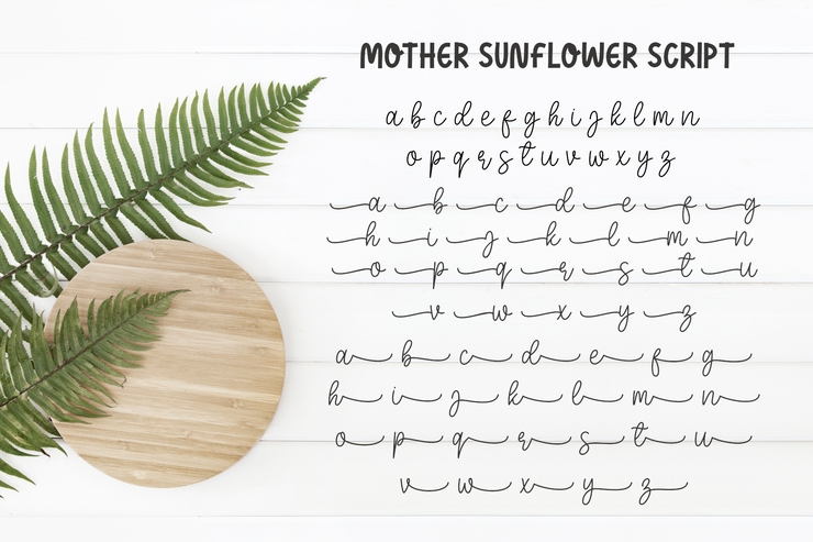 Mother Sunflower字体 2