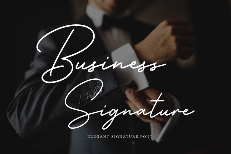 Business Signature字体 2