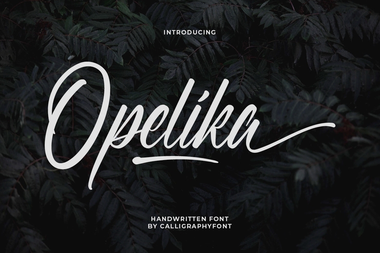 Opelika字体 1