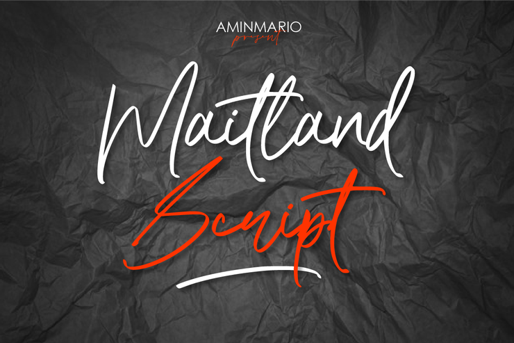 Maitland Script字体 1