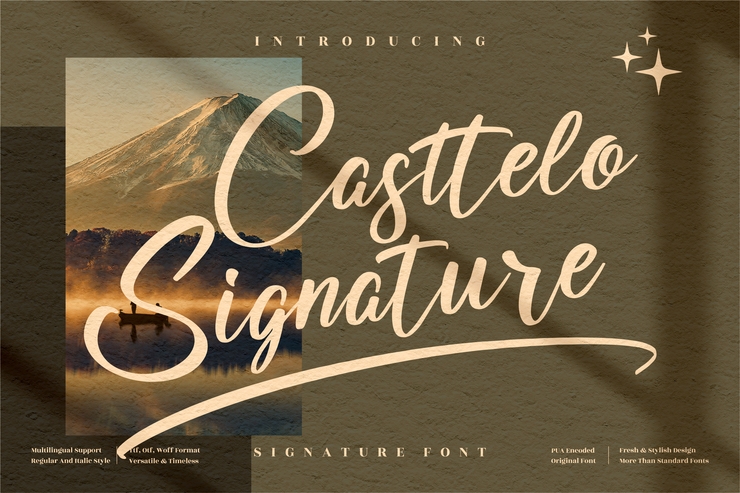 Casttelo Signature字体 5