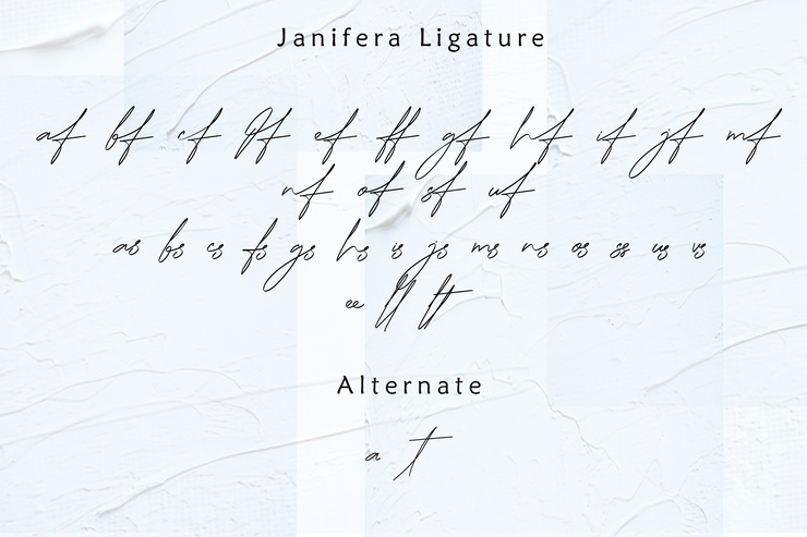Janifera字体 7