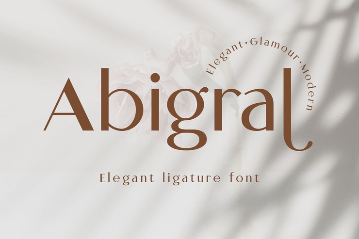 Abigral字体 3