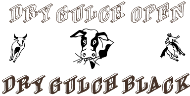 Dry Gulch字体 1