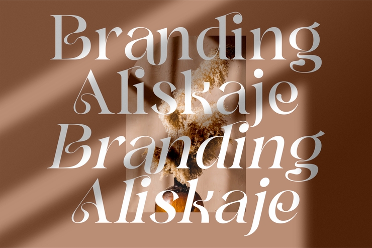 Branding Aliskaje字体 5