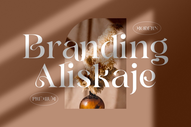 Branding Aliskaje字体 7