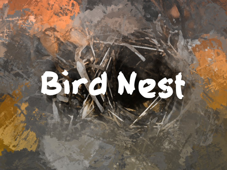 b Bird Nest字体 1