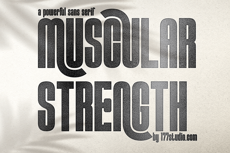 Muscular Strength字体 2
