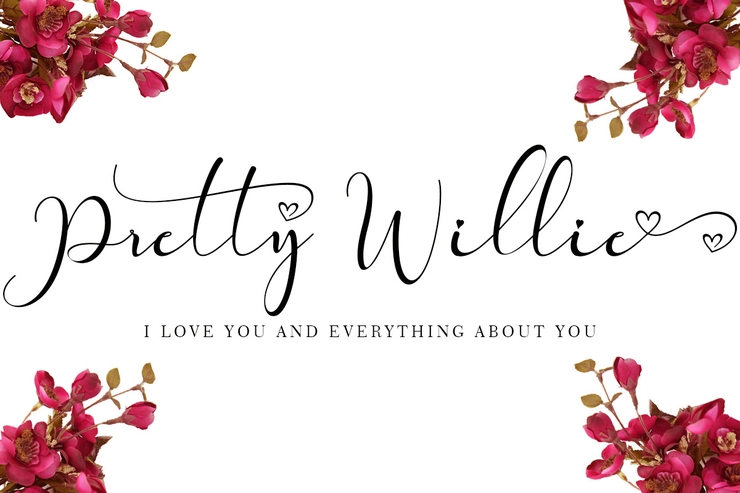 Pretty Willie字体 2