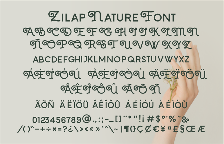 Zilap Nature字体 5