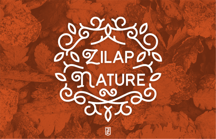 Zilap Nature字体 6