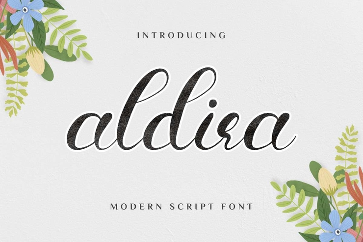 Aldira字体 1