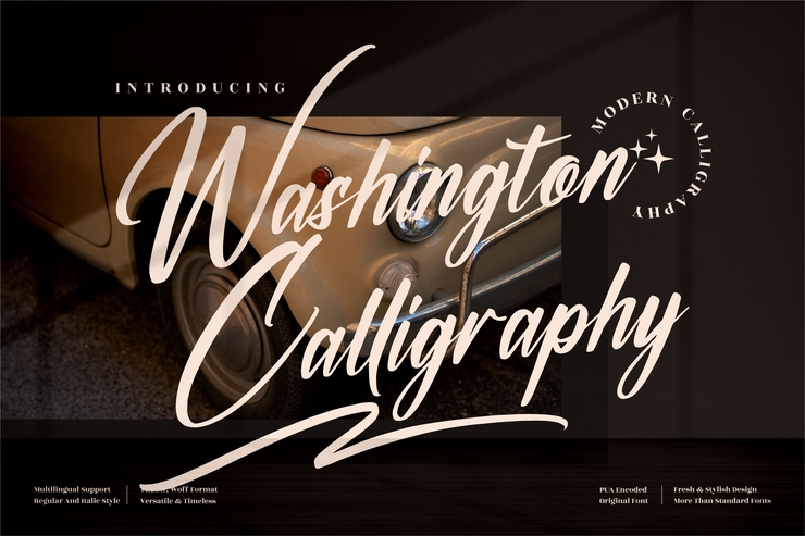 Washington Calligraphy字体 3