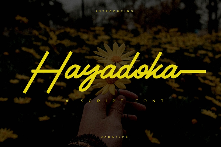 Hayadoka字体 5