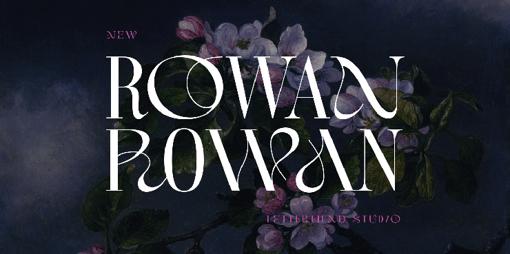 Rowan字体 1