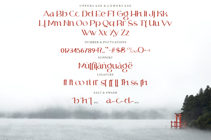 Sigokae字体 4