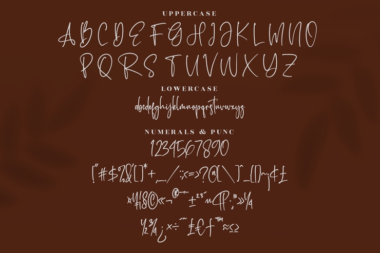 Rotherdam Signature字体 8