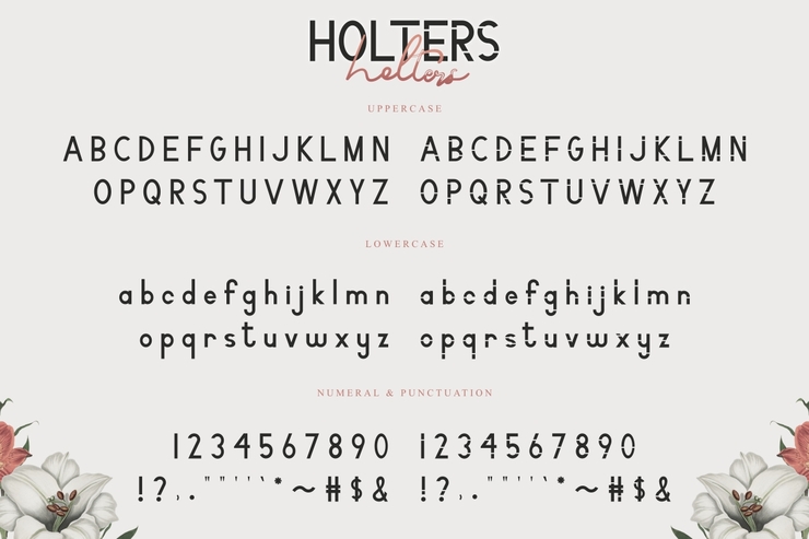 Holters字体 1