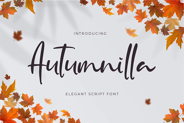 Autumnilla字体 1