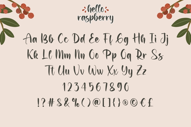 Hello Raspberry字体 10