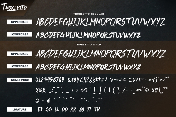 Thorletto字体 5