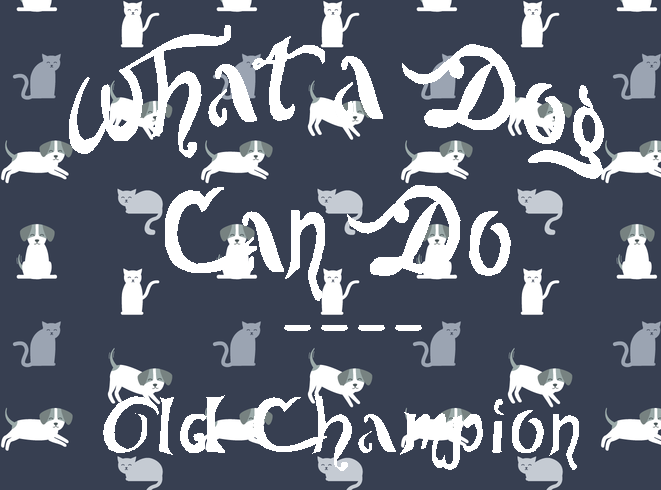 Old Champion字体 1