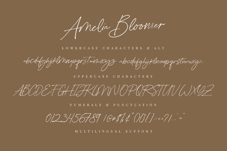 Amelia Bloomer字体 9