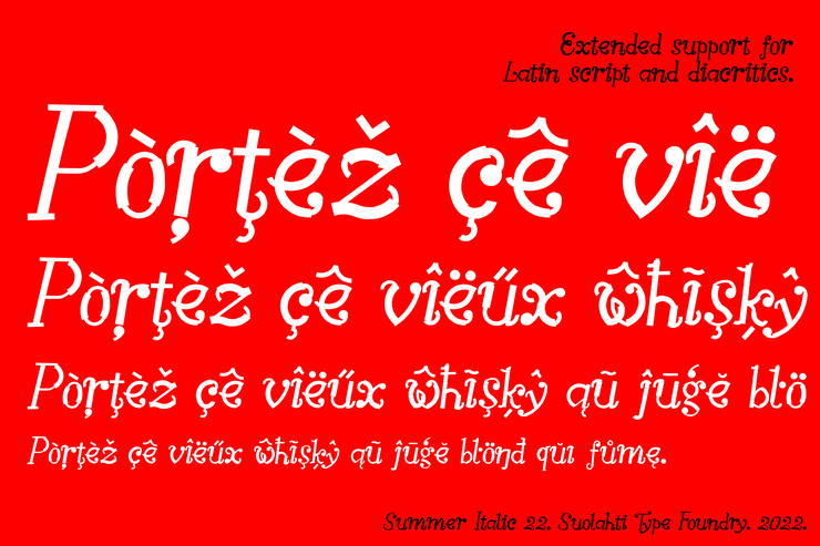 Summer Italic 22字体 1