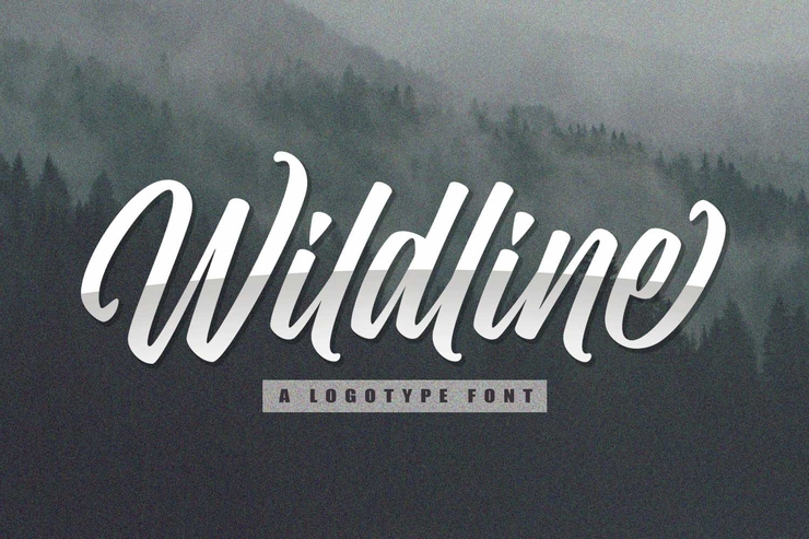 Wildline字体 2