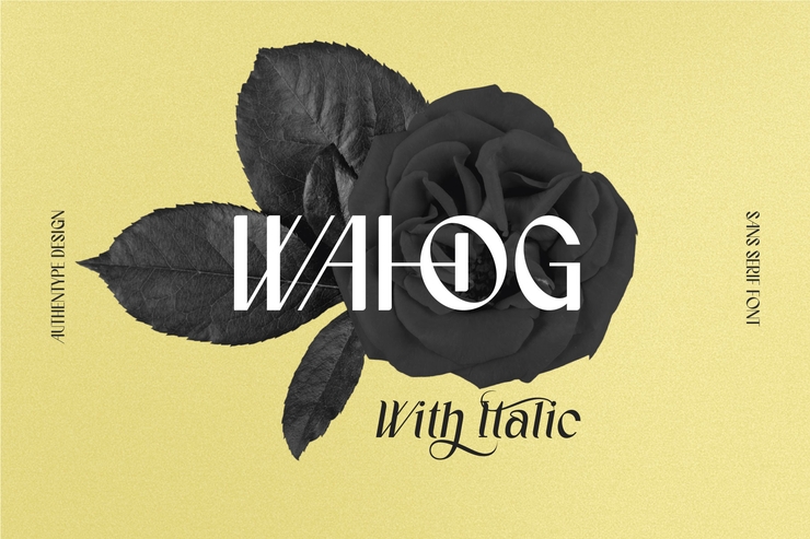 Wahog字体 4