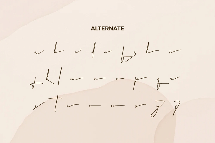 Signatory字体 3