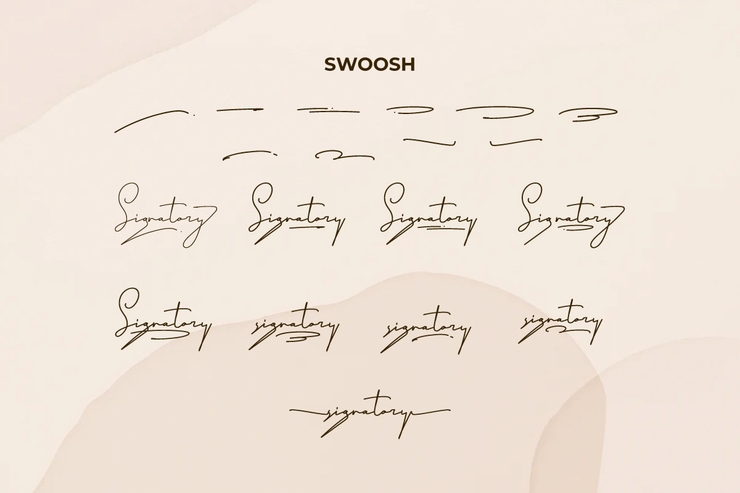Signatory字体 6