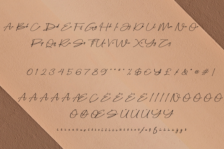 Bellogia Signature字体 3