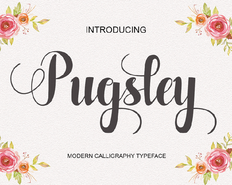 Pugsley字体 1