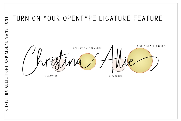 Christina Allie字体 3