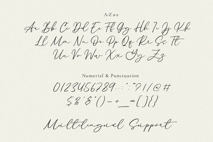 Signature字体 - Alyson Signature字体 2