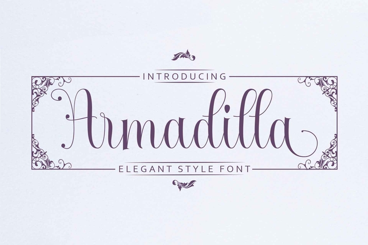 Armadilla字体 7