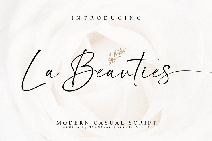 La Beauties字体 4
