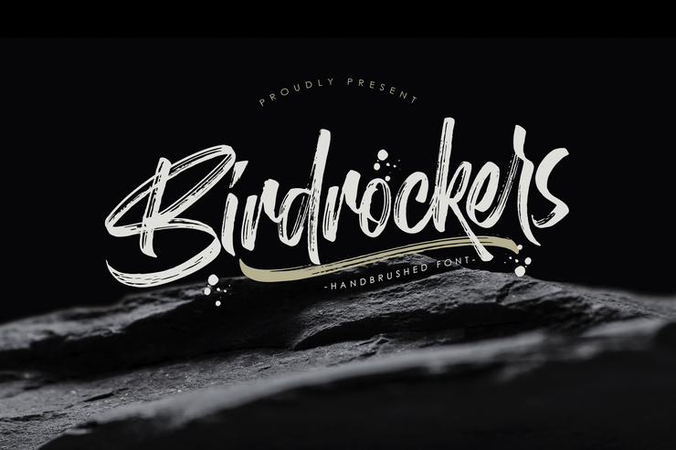 Birdrockers字体 1