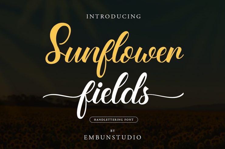 Sunflower Fields字体 2