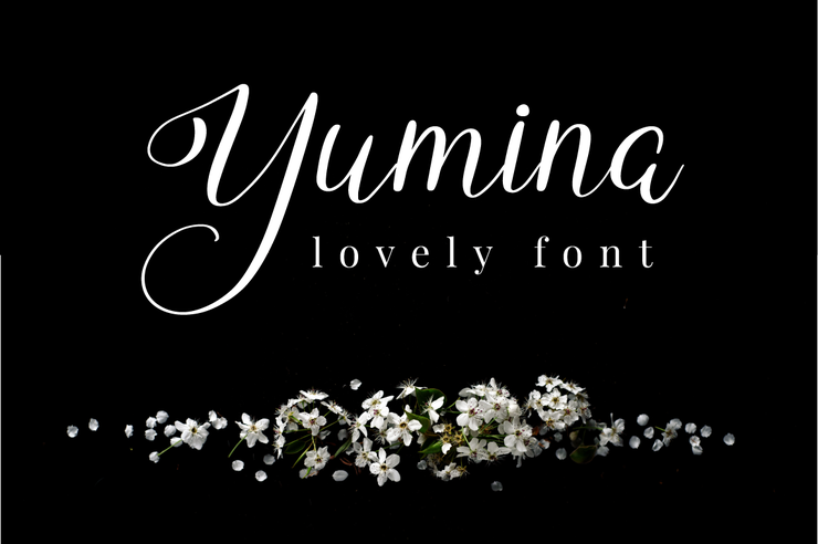 Yumina字体 1