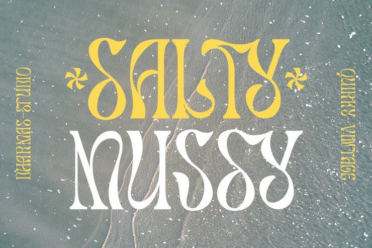 Salty Mussy字体 1
