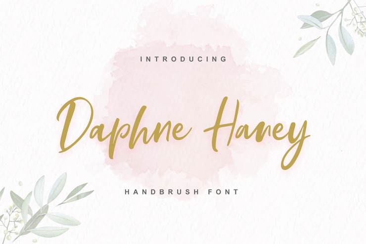 Daphne Haney字体 1