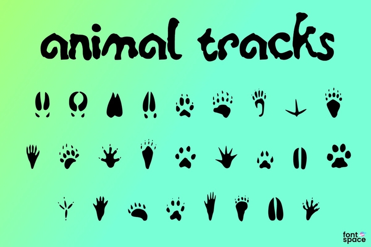 animal tracks字体 1