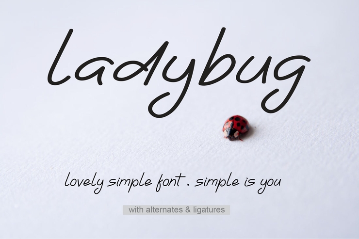 Ladybug字体 1