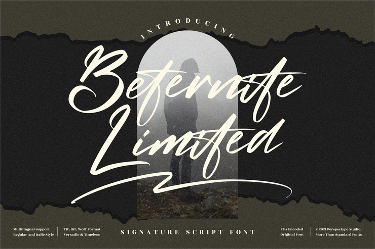 Beternite Limited字体 8