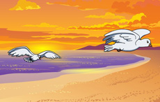 飞翔的海鸥flash动画