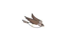 飞行的小鸟flash动画素材